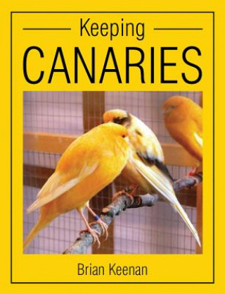 Könyv Keeping Canaries Brian Keenan