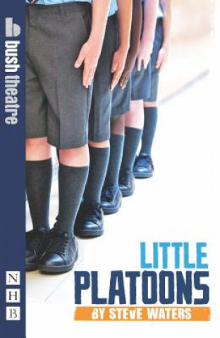 Kniha Little Platoons Steve Waters