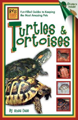 Kniha Turtles & Tortoises Russ Case