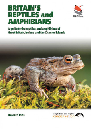 Książka Britain`s Reptiles and Amphibians Howard Inns