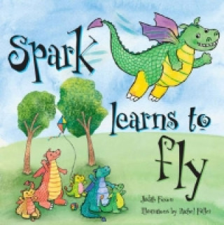 Book Spark Learns to Fly Judith Foxon