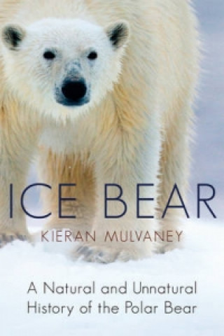 Kniha Ice Bear Kieran Mulvaney