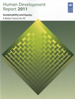 Knjiga Human Development Report 2011 United Nations