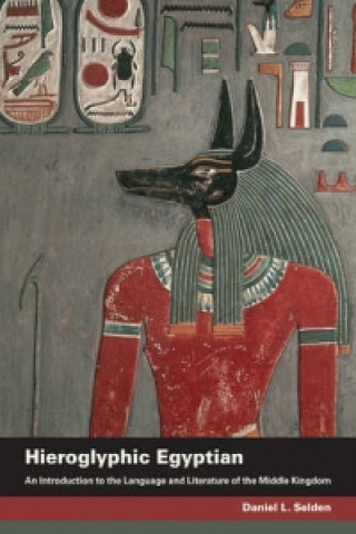 Könyv Hieroglyphic Egyptian Daniel L Selden