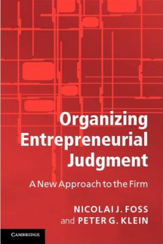 Kniha Organizing Entrepreneurial Judgment Nicolai J Foss
