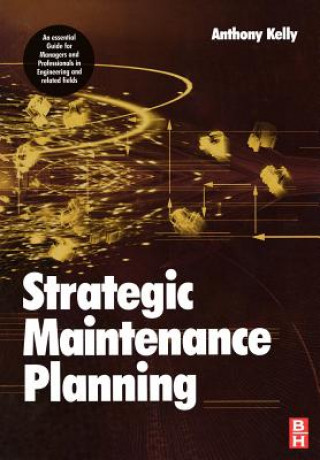 Knjiga Strategic Maintenance Planning Anthony Kelly