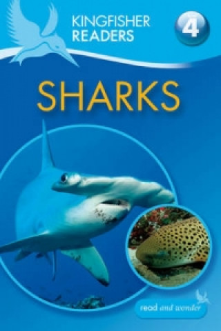 Knjiga Kingfisher Readers: Sharks (Level 4: Reading Alone) Anita Ganeri