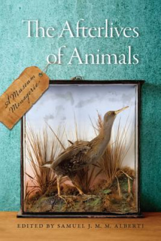 Carte Afterlives of Animals Samuel J M M Albertie