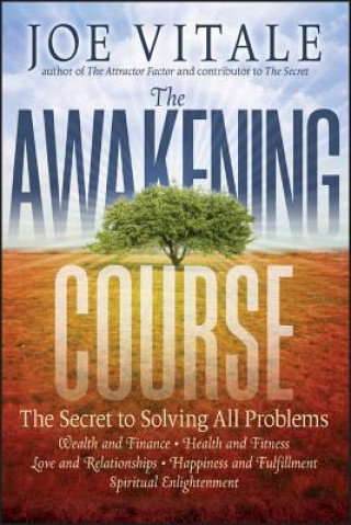 Könyv Awakening Course Joe Vitale