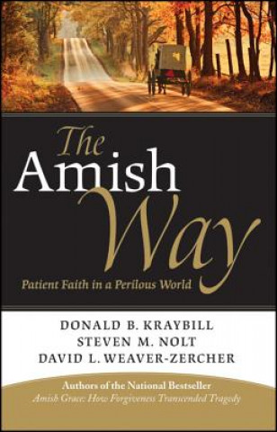 Książka Amish Way Donald B Kraybill