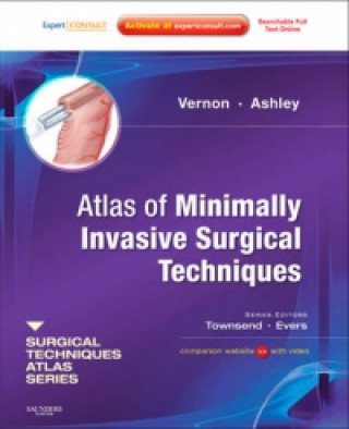 Kniha Atlas of Minimally Invasive Surgical Techniques Stanley W Ashley