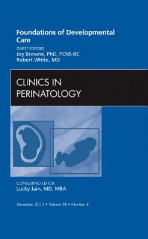 Carte Foundations of Developmental Care, An Issue of Clinics in Perinatology Robert L. White