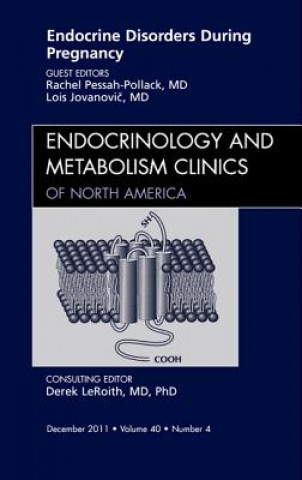 Könyv Endocrine Disorders During Pregnancy, An Issue of Endocrinology and Metabolism Clinics of North America Rachel Pessah Pollack