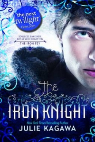 Книга Iron Knight Julie Kagawa