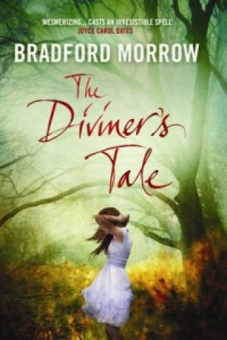 Kniha Diviner's Tale Bradford Morrow