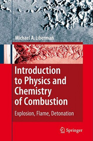 Kniha Introduction to Physics and Chemistry of Combustion Michael A Liberman