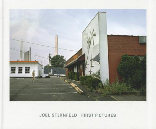 Book Joel Sternfeld Joel Sternfeld