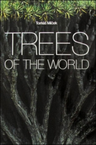 Książka Trees of the World Thomas Micek