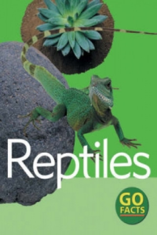 Buch Reptiles Paul McEvoy