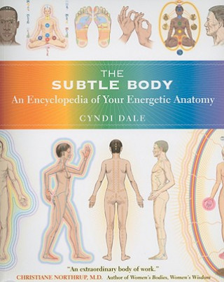 Kniha Subtle Body Cyndi Dale