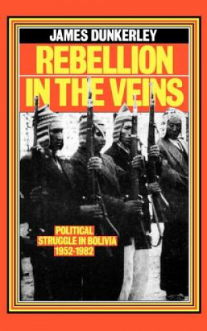 Kniha Rebellion in the Veins James Dunkerley