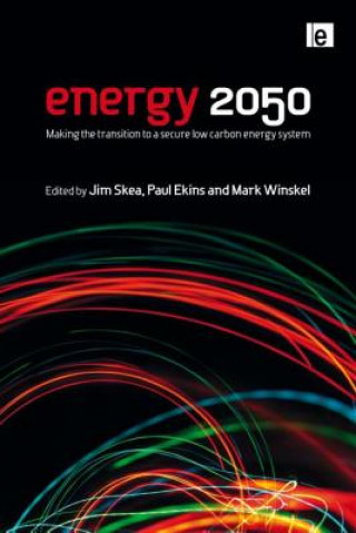 Książka Energy 2050 Mark Winskel