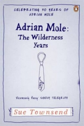Könyv Adrian Mole: The Wilderness Years Sue Townsend