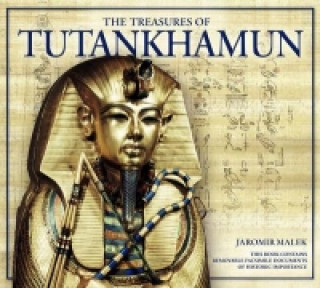 Kniha Treasures of Tutankhamun Jaromir Malek