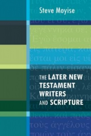 Book Later New Testament Writers and Scripture Steve Moyise