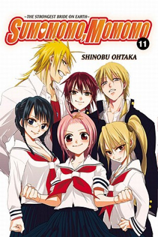 Książka Sumomomo, Momomo, Vol. 11 Shinobu Ohtaka