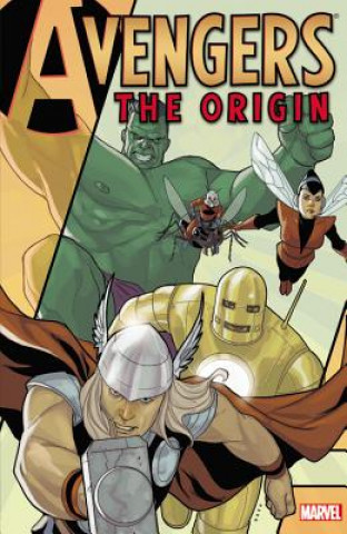 Könyv Avengers: The Origin Joe Casey