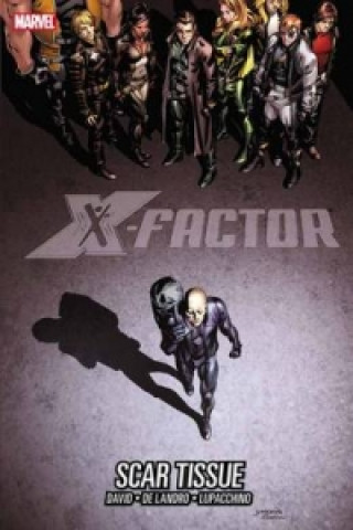 Kniha X-factor Vol. 12 Peter David