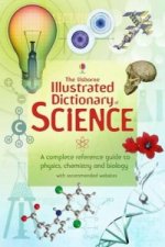 Könyv Usborne Illustrated Dictionary of Science Corinne Stockley