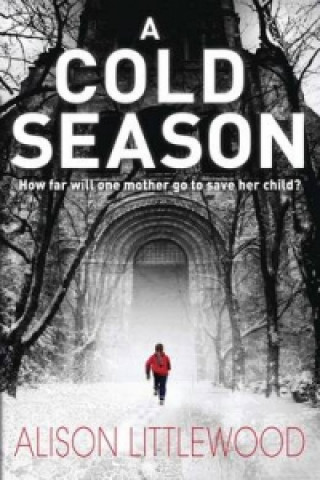 Kniha Cold Season Alison Littlewood