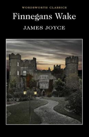 Kniha Finnegans Wake James Joyce