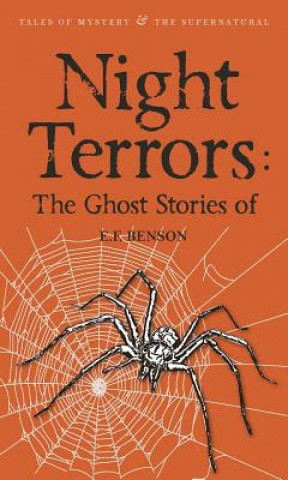 Könyv Night Terrors: The Ghost Stories of E.F. Benson E F Benson