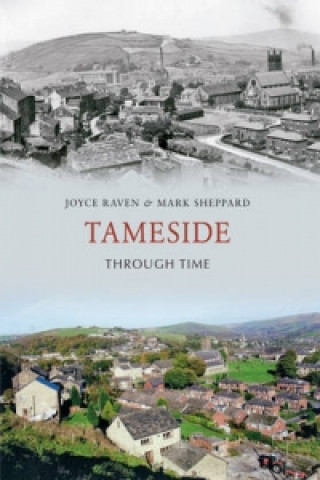 Knjiga Tameside Through Time Joyce Raven