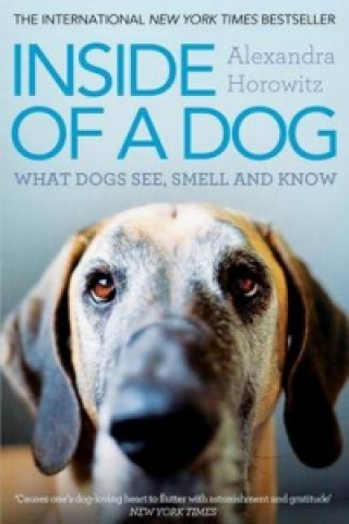 Книга Inside of a Dog Alexandra Horowitz
