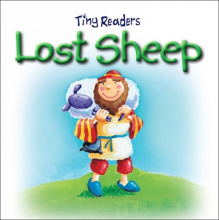 Kniha Lost Sheep Juliet David