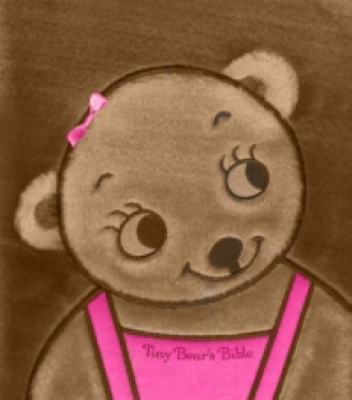 Book Tiny Bear Bible Sally Lloyd Jones