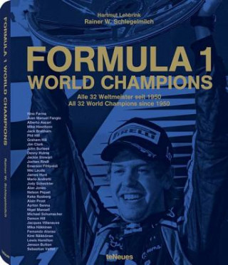 Kniha Formula 1 Rainer Schlegelmilch