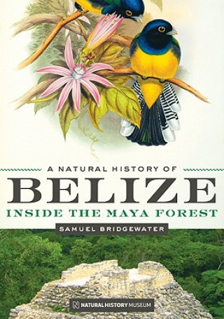 Knjiga Natural History of Belize Samuel Bridgewater