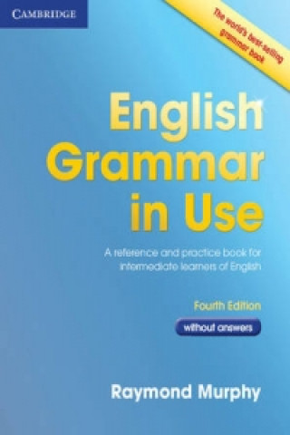 Kniha English Grammar in Use Book without Answers Raymond Murphy