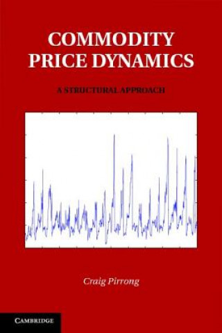 Kniha Commodity Price Dynamics Craig Pirrong
