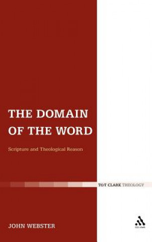 Könyv Domain of the Word John Webster