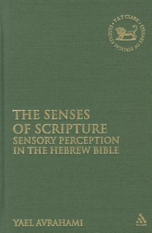 Knjiga Senses of Scripture Yael Avrahami