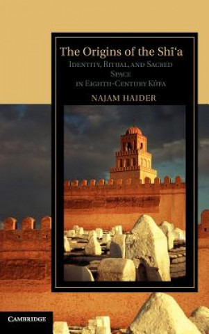 Book Origins of the Shi'a Najam Haider