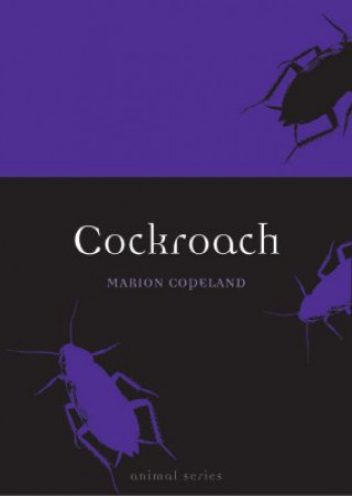Kniha Cockroach Marion Copeland