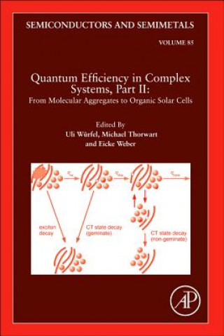 Kniha Quantum Efficiency in Complex Systems, Part II: From Molecular Aggregates to Organic Solar Cells Uli Wurfel