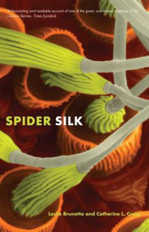 Kniha Spider Silk Leslie Brunetta
